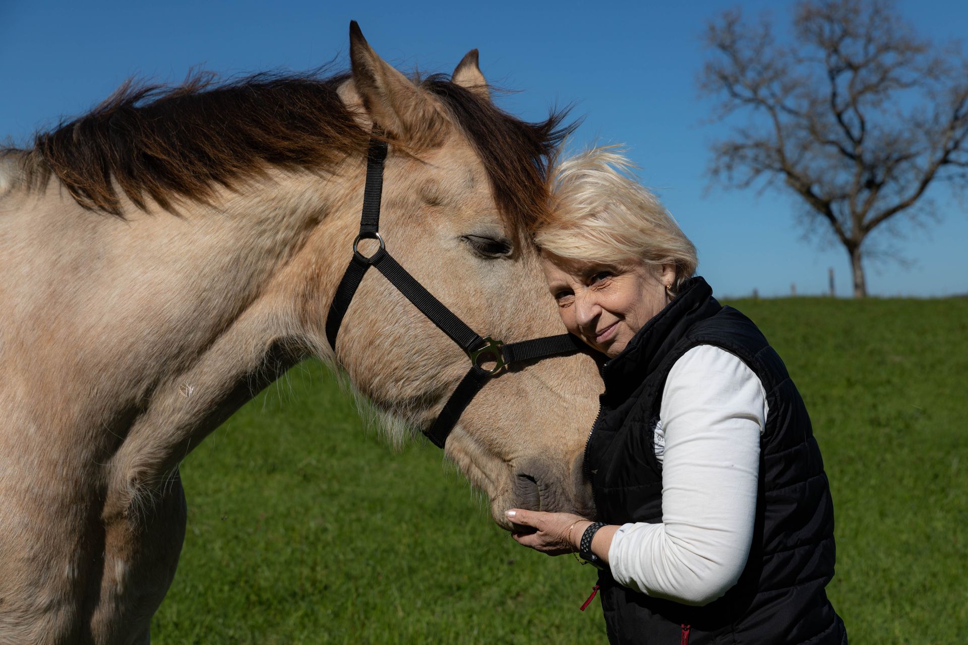 Animaux de compagnie - Esther Raguenet Photographie